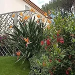 Holiday home Les Bastides Du Bormes-les-Mimosas